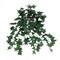 2-Pack 13" Mini Artificial English Ivy Bushes — 176 Silk Leaves Each, UV-Safe Faux Greenery for Desks, Centerpieces & Small Planters | Floral Home